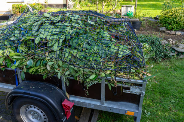 Best Carpet Removal and Disposal  in Swedesboro, NJ